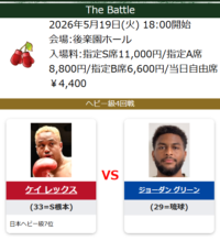 ケイレックス試合