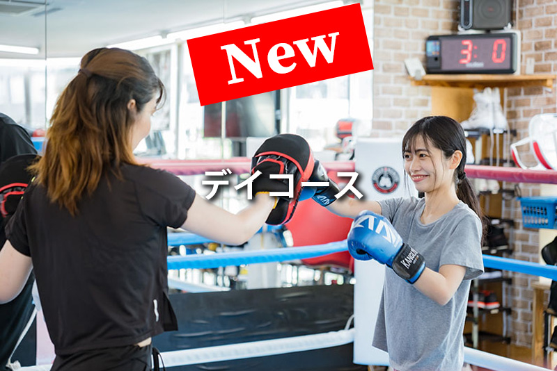 デイコース